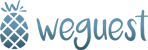 Logowegestfinnxtech